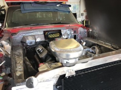 IMG_0233.JPG IMG_0233.JPG