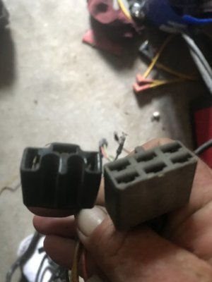 C2CFA29E-6818-4C31-8F4F-BD306C969808.jpeg