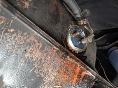 IMG_20190811_150552.jpg IMG_20190811_150552.jpg