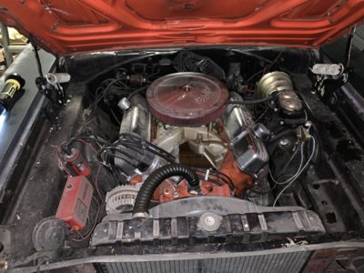 0E892F1A-4260-4549-AD81-BDB4DA771F66.jpeg 0E892F1A-4260-4549-AD81-BDB4DA771F66.jpeg