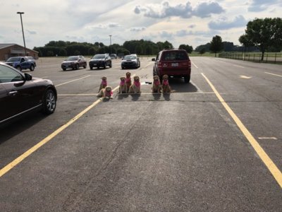 6100C170-1416-49D3-B92D-75036BBCB97E.jpeg 6100C170-1416-49D3-B92D-75036BBCB97E.jpeg