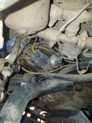 20190718_185608.jpg 20190718_185608.jpg