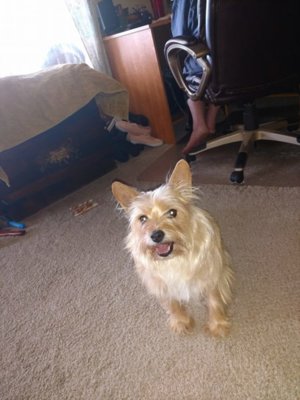 32089216_1927348870611325_294463048008073216_n.jpg 32089216_1927348870611325_294463048008073216_n.jpg