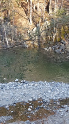 20171123_093842.jpg