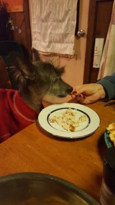 20171123_182519.jpg