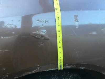 image.jpeg image.jpeg