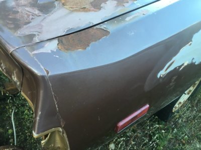 image.jpeg image.jpeg