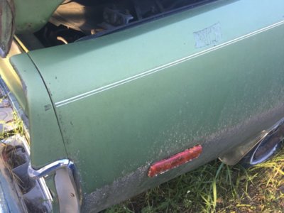 image.jpeg image.jpeg