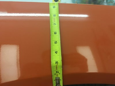 image.jpeg image.jpeg