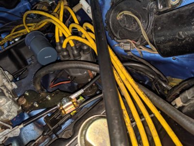 IMG_20190902_065619.jpg IMG_20190902_065619.jpg