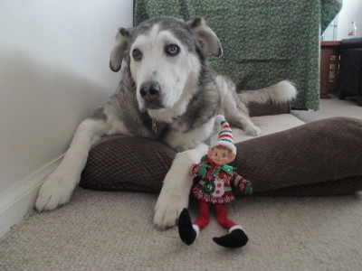 9pqfzo.jpg 9pqfzo.jpg