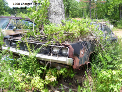 38tree.png 38tree.png