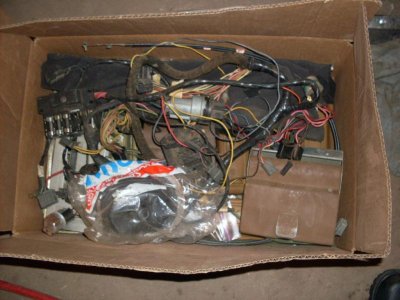 SDC10446.jpg
