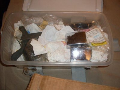 SDC10440.jpg