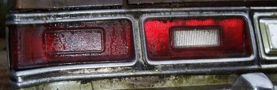 100_7082-1.jpg 100_7082-1.jpg