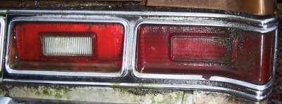 100_7081-1.jpg 100_7081-1.jpg