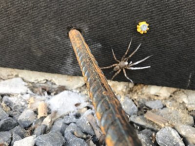 IMG_1056.JPG IMG_1056.JPG