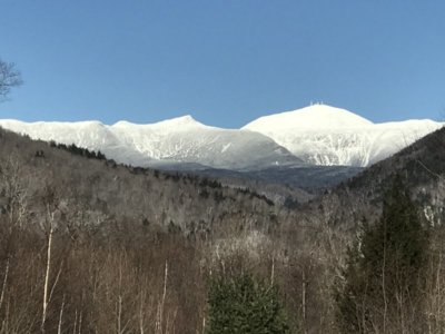 IMG_2429.JPG