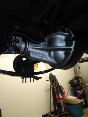 rear end (10).jpg