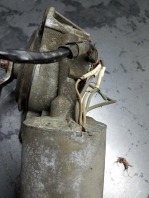 20190702_065112.jpg 20190702_065112.jpg