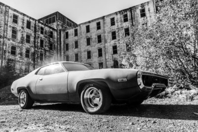 Roadrunner.JPG Roadrunner.JPG