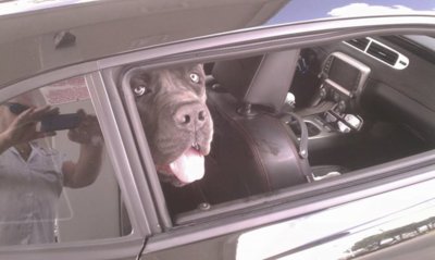 1796594_10202440798175303_1725399069_n.jpg 1796594_10202440798175303_1725399069_n.jpg