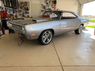 8.25.19 Bee.jpg 8.25.19 Bee.jpg