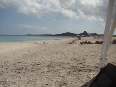 DSC06795.jpg