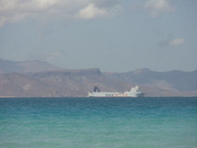 DSC06804.jpg