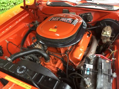 IMG_0801.JPG IMG_0801.JPG