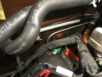 file78.jpeg file78.jpeg