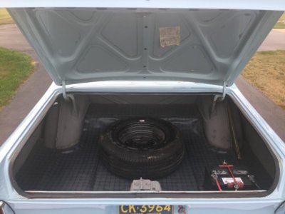 65.bel trunk.JPG 65.bel trunk.JPG