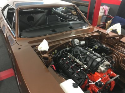 file81.jpeg file81.jpeg