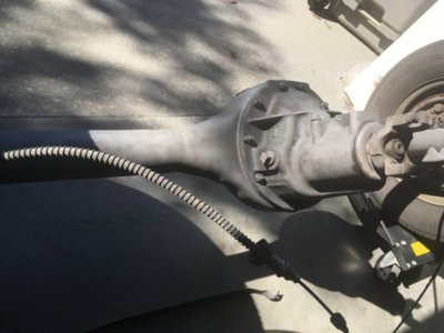 IMG_3428.jpg IMG_3428.jpg