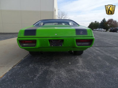 trunk stripes.jpg