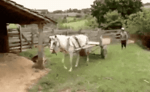 tumblr_pz0jgaSVCS1xig2s0o1_400.gif