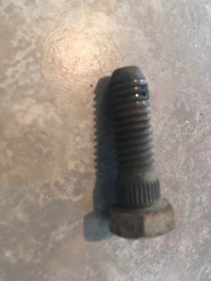 IMG_3442.jpg IMG_3442.jpg