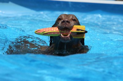 christi home 09 211[1].jpg