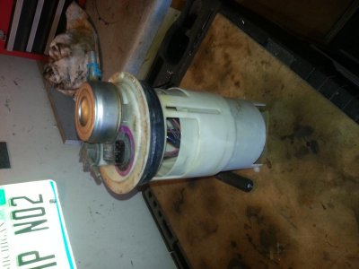 20130217_095703.jpg 20130217_095703.jpg