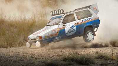 8-reliant-robin-rally-car.jpg