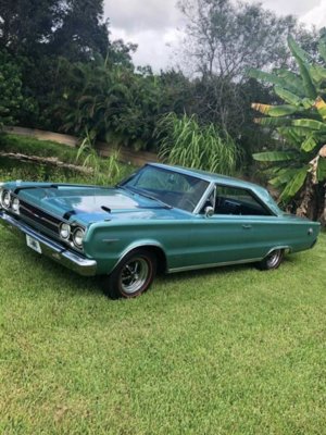 70606481_10218024203990709_5065286929126260736_n.jpg 70606481_10218024203990709_5065286929126260736_n.jpg