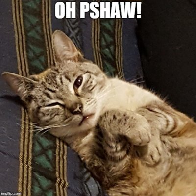oh pshaw.jpg