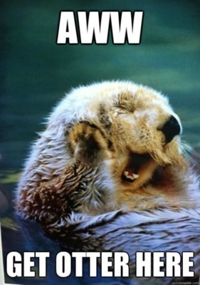 get otter here.jpg