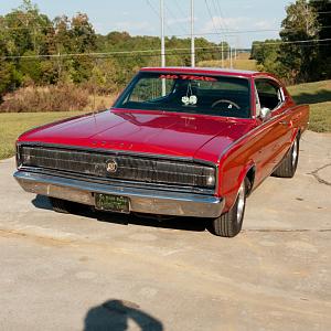 DSC09470 (Medium).jpg