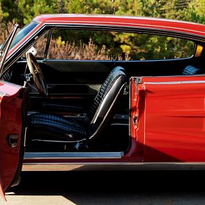 DSC09473 (Medium).jpg