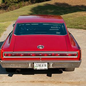 DSC09487 (Medium).jpg