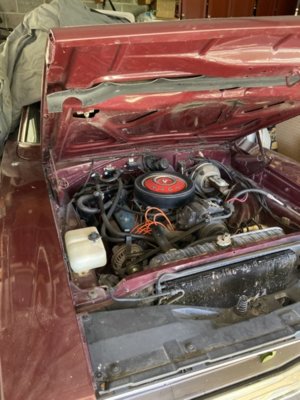 IMG_3009.JPG IMG_3009.JPG