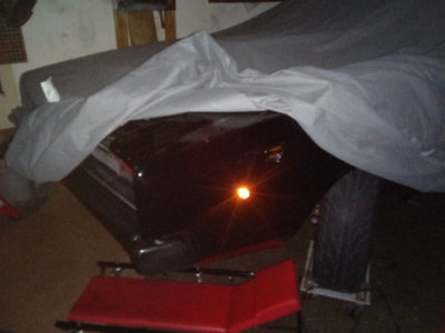 20191102_204426.jpg 20191102_204426.jpg