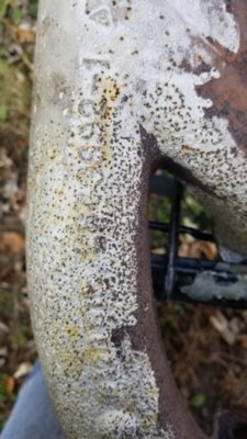 20191103_140834.jpg