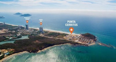 images (16).jpeg images (16).jpeg